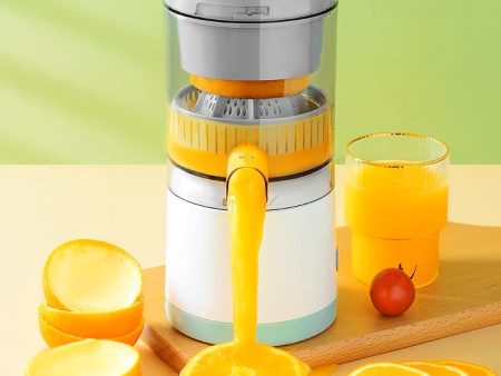 Automatic Fruit Juicer For Discount