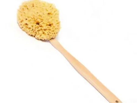 SOAPOLOGY | Natural Sea Sponge Stick on Sale