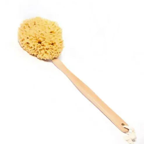 SOAPOLOGY | Natural Sea Sponge Stick on Sale