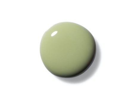 Terra Nail Polish No. 24 Sage Green For Cheap