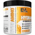 EVL Hydramino 30srv Choose Flavor - 6 Key Electrolytes Drink Mix for Hydration, Endurance & Recovery Online