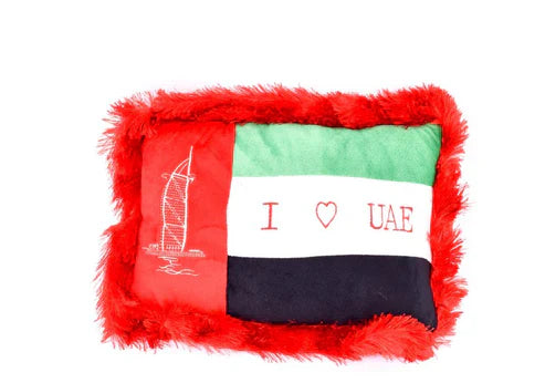 UAE Flag Pillow Online now