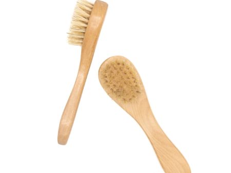 SOAPOLOGY | Complexion Brush Online Hot Sale