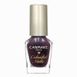 Canmake Colourful Nails For Cheap