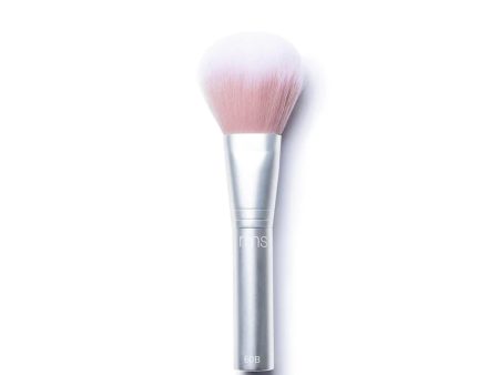 Skin2Skin Powder Blush Brush Discount