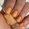 Terra Nail Polish No. 16 Desert Sun Online Hot Sale