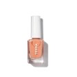 Terra Nail Polish No. 17 Dusty Canyons Online