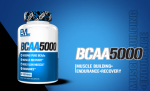 EVL BCAA5000 240ct | 5000mg Branched Chain Amino Acids | Boost Muscle Building + Recovery & Endurance Cheap