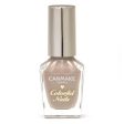 CANMAKE Colorful Nails 砍妹指甲油 Limited-限定色 Online Hot Sale