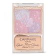 CANMAKE Glow Fleur Cheeks B03 井田日本花瓣五色腮红 5.4g Sale