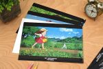 Studio Ghibli My Neighbor Totoro A4 Clear Document Folder 吉卜力工作室龙猫 A4 透明文件夹 For Cheap